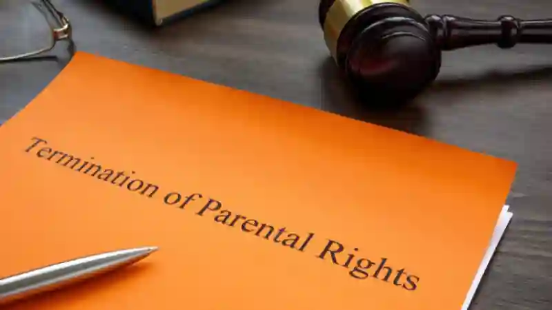 Can A Felon Lose Parental Rights?