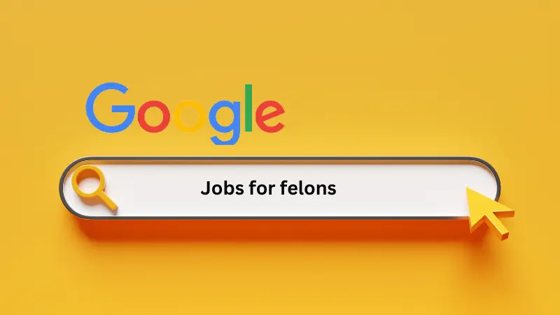 Google Career Felons